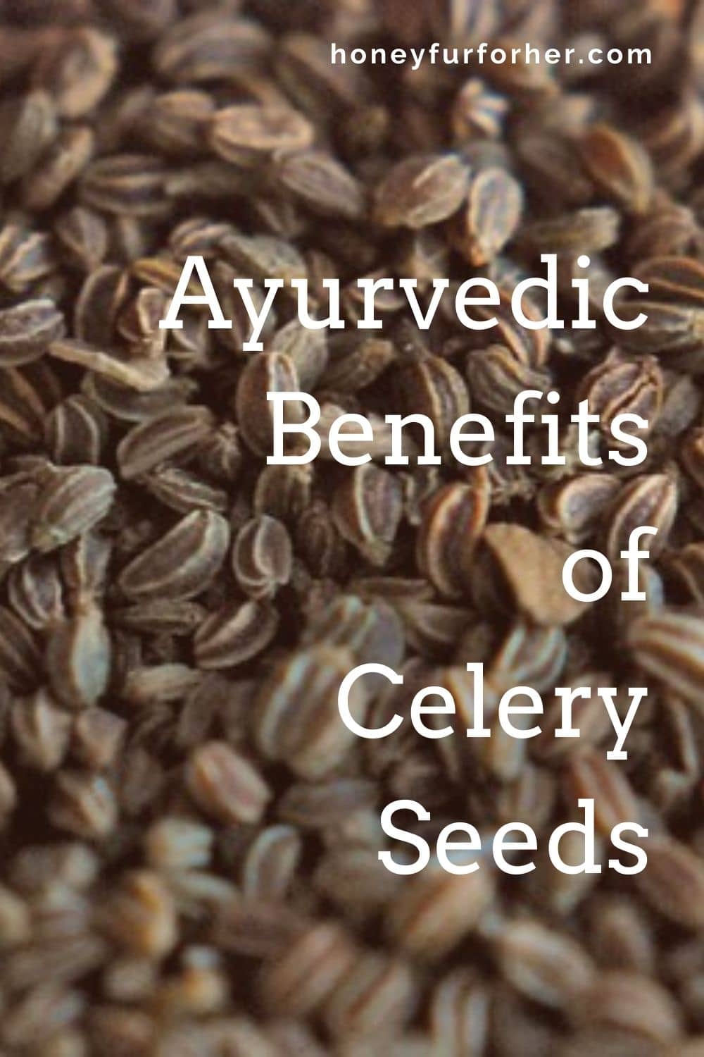 Ajamoda Celery Seeds Benefits Pinterest Graphics