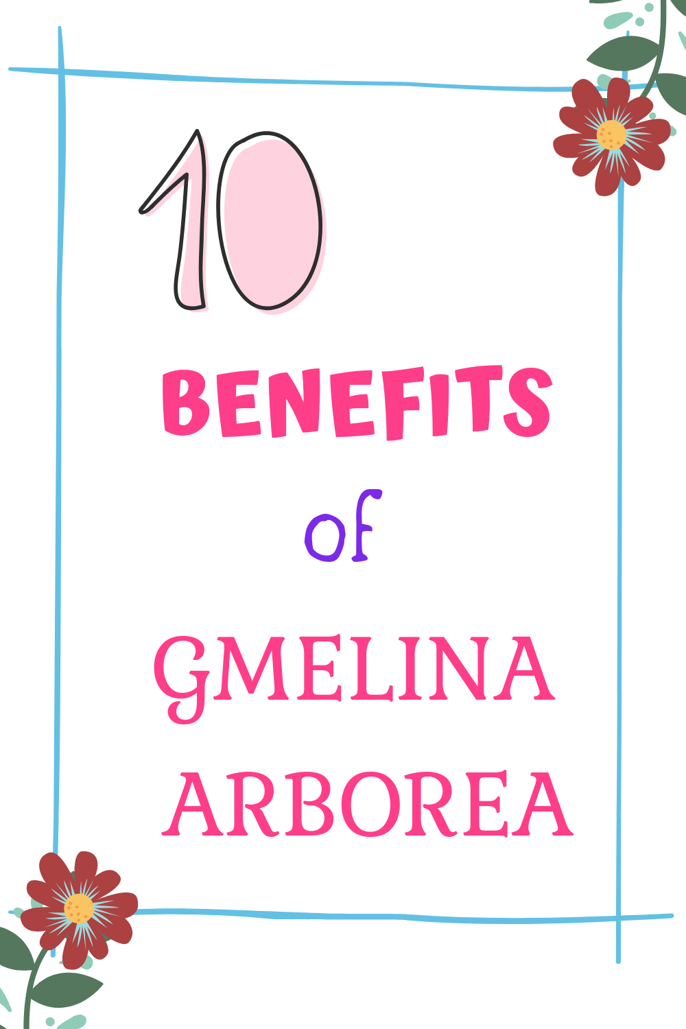 Benefits of Gambhari Gmelina Arborea #herbs #herbsforhealth #ayurveda #ayurvedicmedicine
