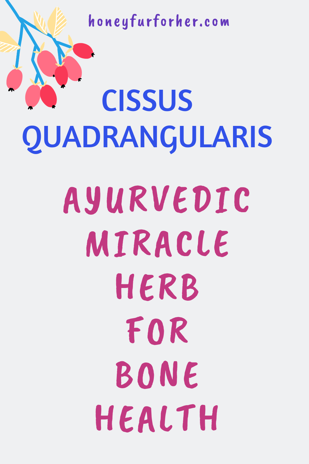 Hadjod Cissus Quadrangularis Pinterest Graphic Pin