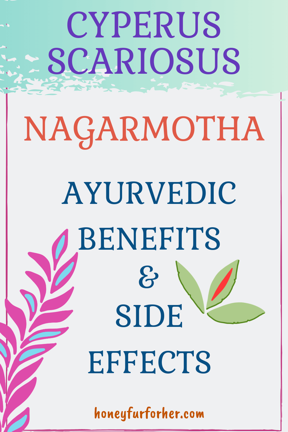 Nagarmotha Benefits and Side Effects Pinterest Pin New