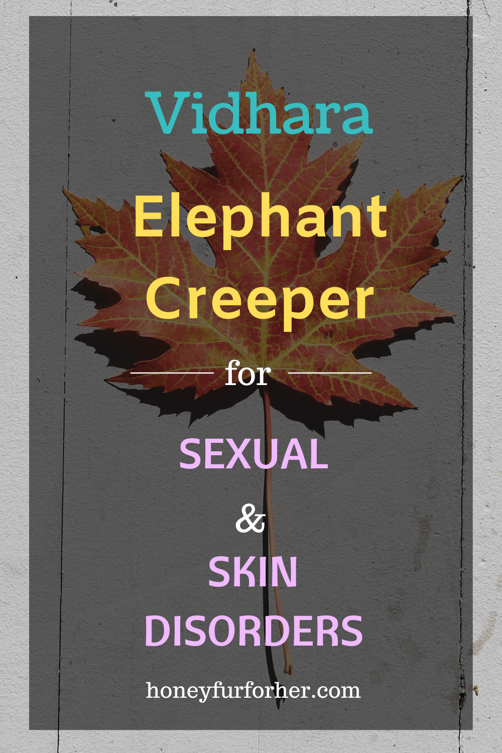 Vidhara Elephant Creeper Benefits Side Effects Pinterest Graphic