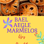 Bael Aegle marmelos Benefits Pinterest Pin Graphic