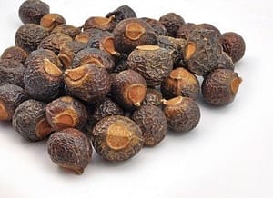 Reetha - Soapnuts