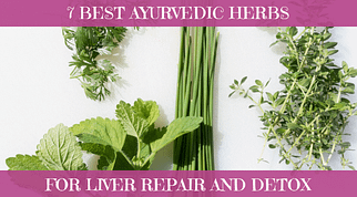 7 Best Ayurvedic Herbs For Liver Repair And Detox Feature Image