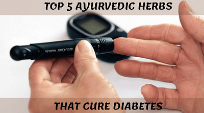 Top 5 Ayurvedic Herbs That Cure Diabetes Feature Image