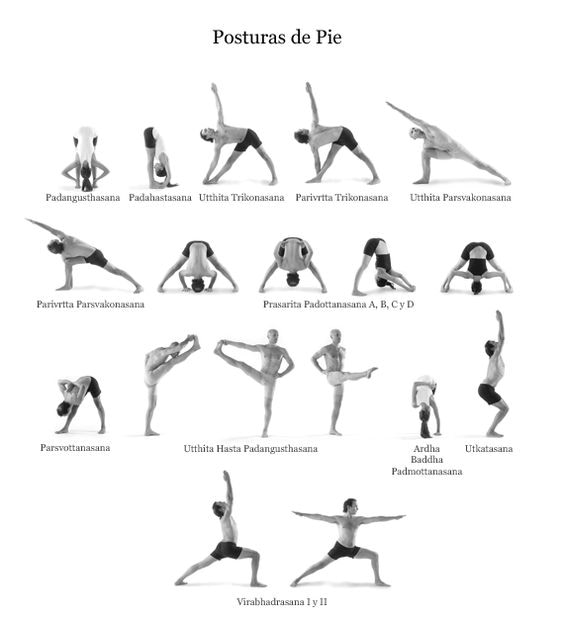 Primary Series Standing Poses