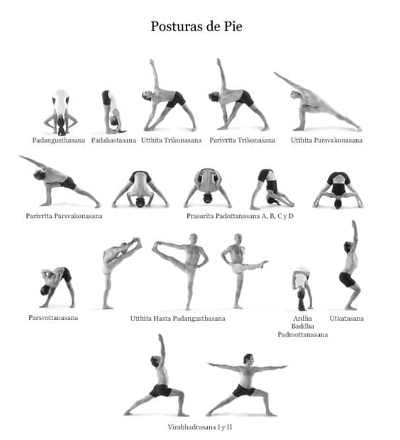 Primary Series Standing Poses