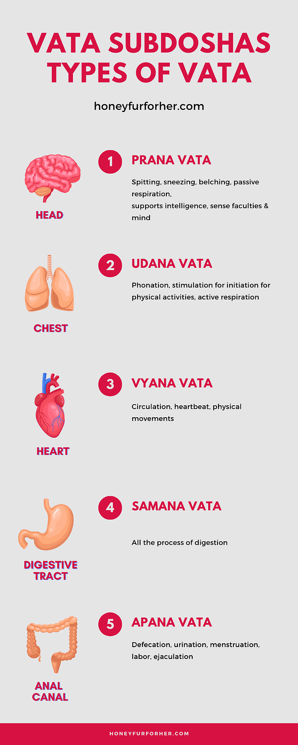 Type of Vata In Human Body