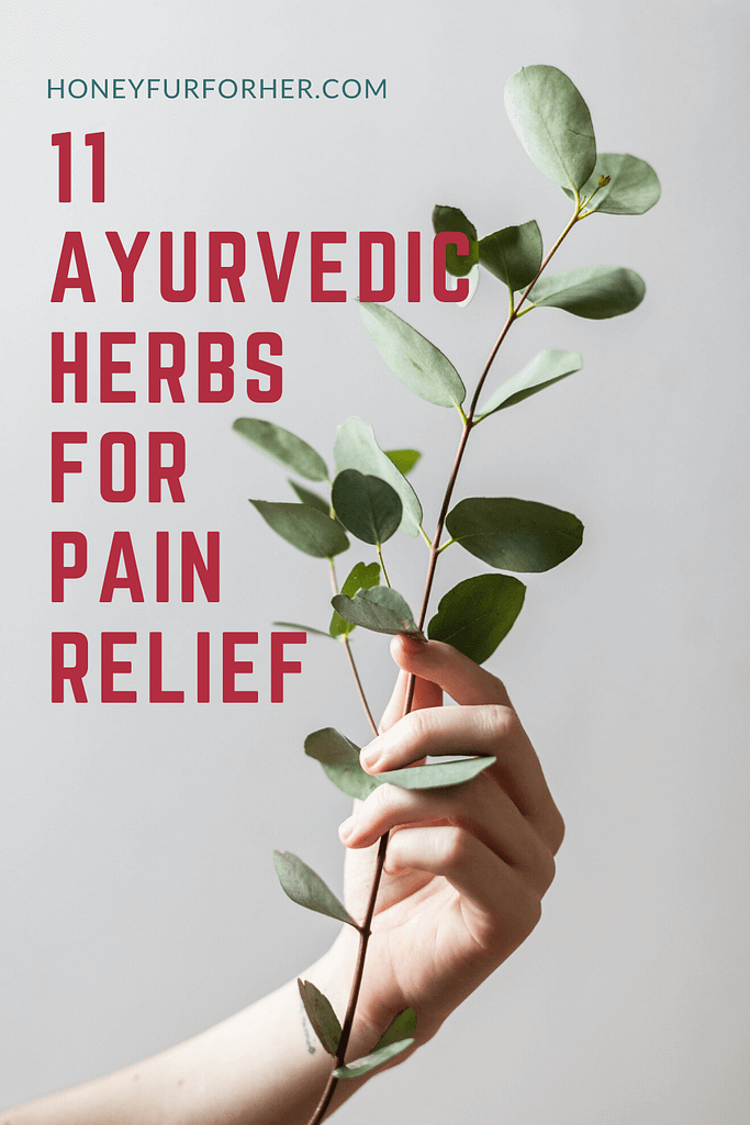 Top 11 Ayurvedic herbs for pain relief Pinterest Pin