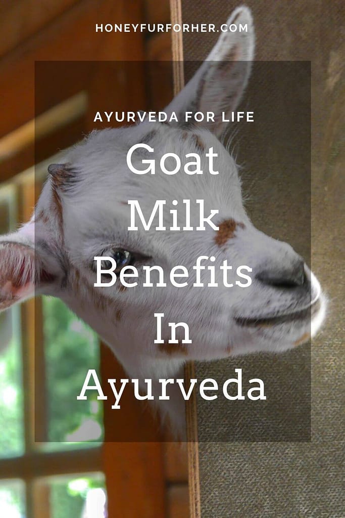 Goat's Milk Benefits In Ayurveda Pinterest Pin 1