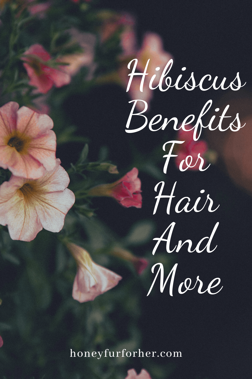 Hibiscus benefits pinterest graphic