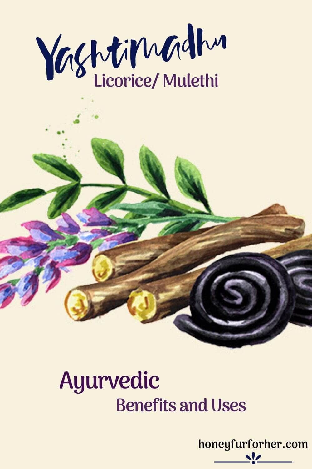 Yashtimadhu Licorice Mulethi Mulehati Plant Pinterest Image