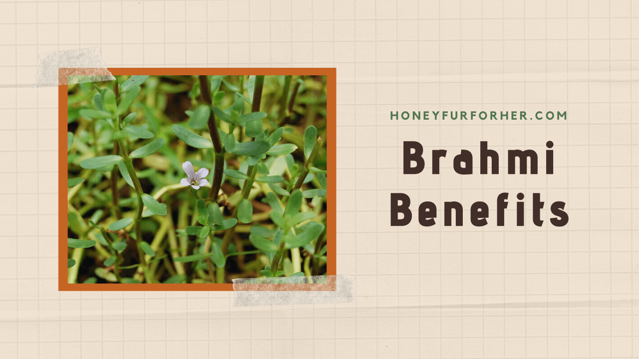 Brahmi Benefits Feature Image
