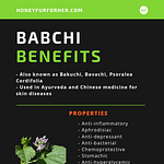 Bakuchi Plant Babchi Benefits