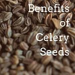 Ajamoda Celery Seeds Benefits Pinterest Graphics