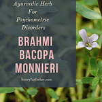 Brahmi Benefits Pinterest Pin Graphic