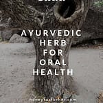 Dandasa, Dhandasa, Wallnut Tree Peel, Benefits For Teeth, Oral Health, Side Effects #herbsforhealth #healthsupplements #naturalsupplements #ayurveda #ayurvedalife #honeyfurforher