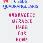Hadjod Cissus Quadrangularis Pinterest Graphic Pin