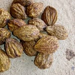 Haritaki Harad Seeds
