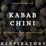 Kankola Kabab Chinie Pinterest Graphic