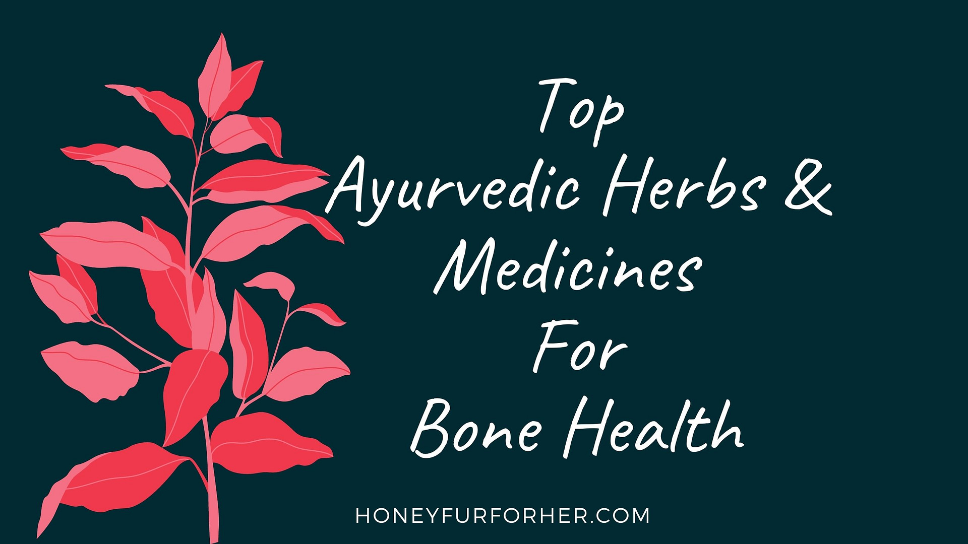 Ayurvedic Herbs & Medicines For Bone Health Feature Image