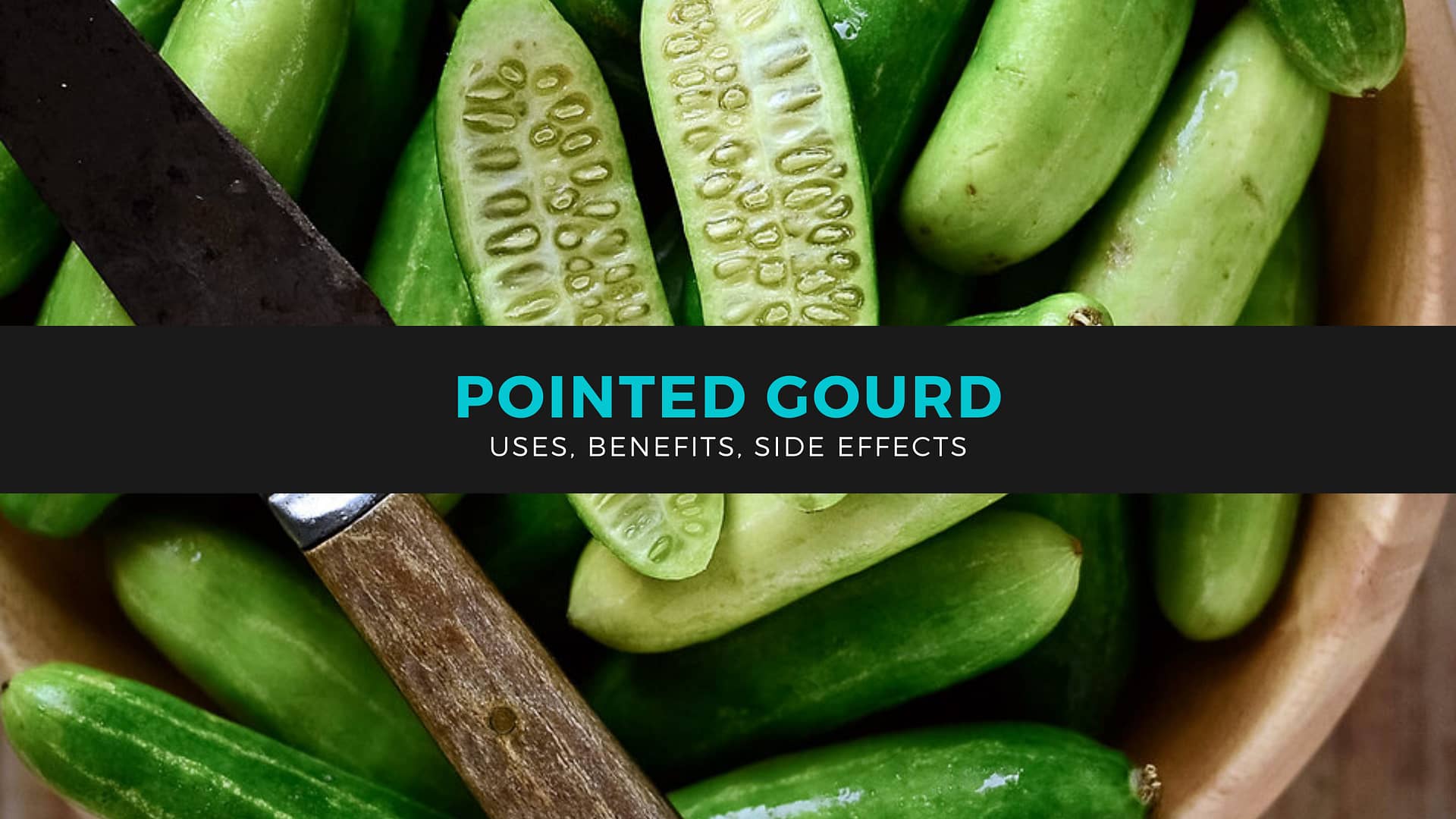 Pointed Gourd Feature Image