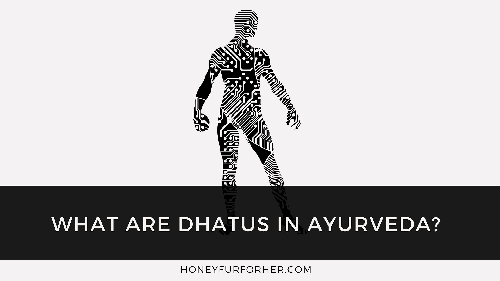 Dhatus In Ayurveda Feature Image