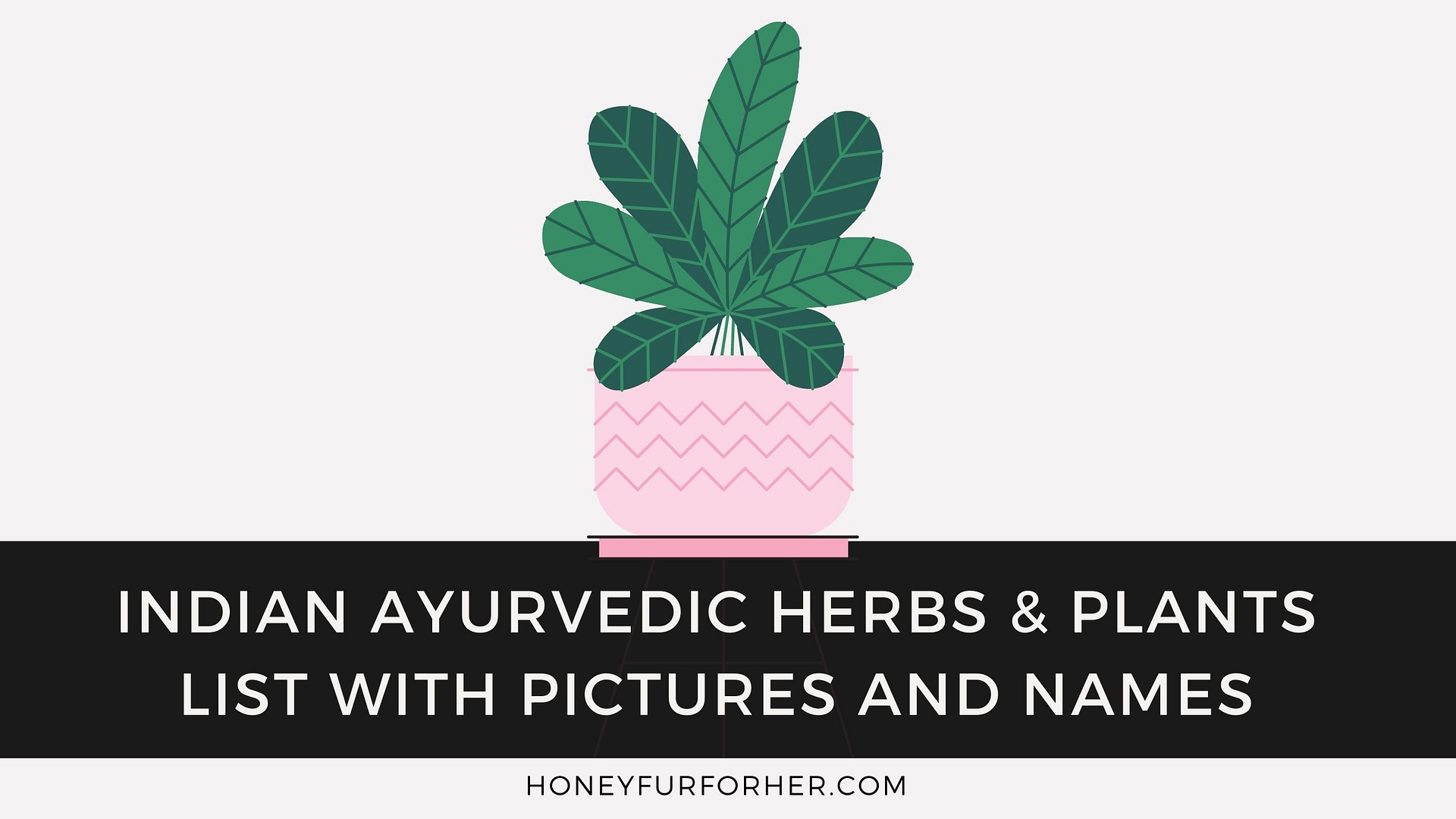 Indian Ayurvedic Herbs & Plants List With Pictures And Names Feature Image