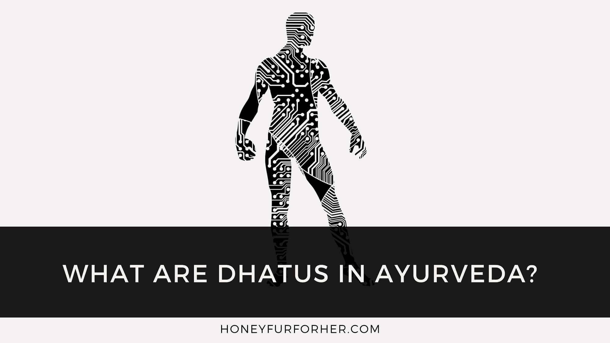 Dhatus In Ayurveda Feature Image
