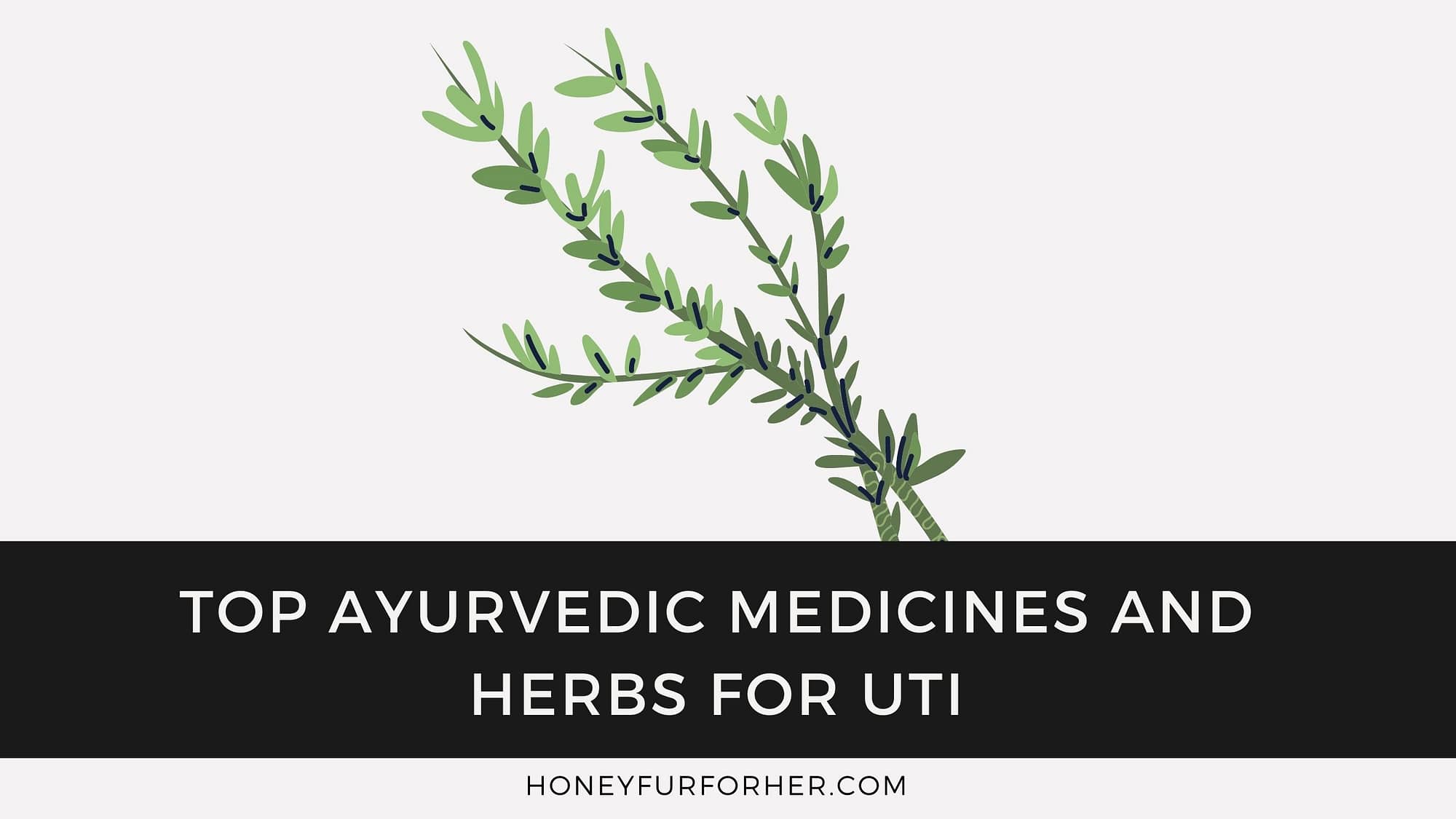 Ayurvedic Medicines And Herbs For UTI Feature Image