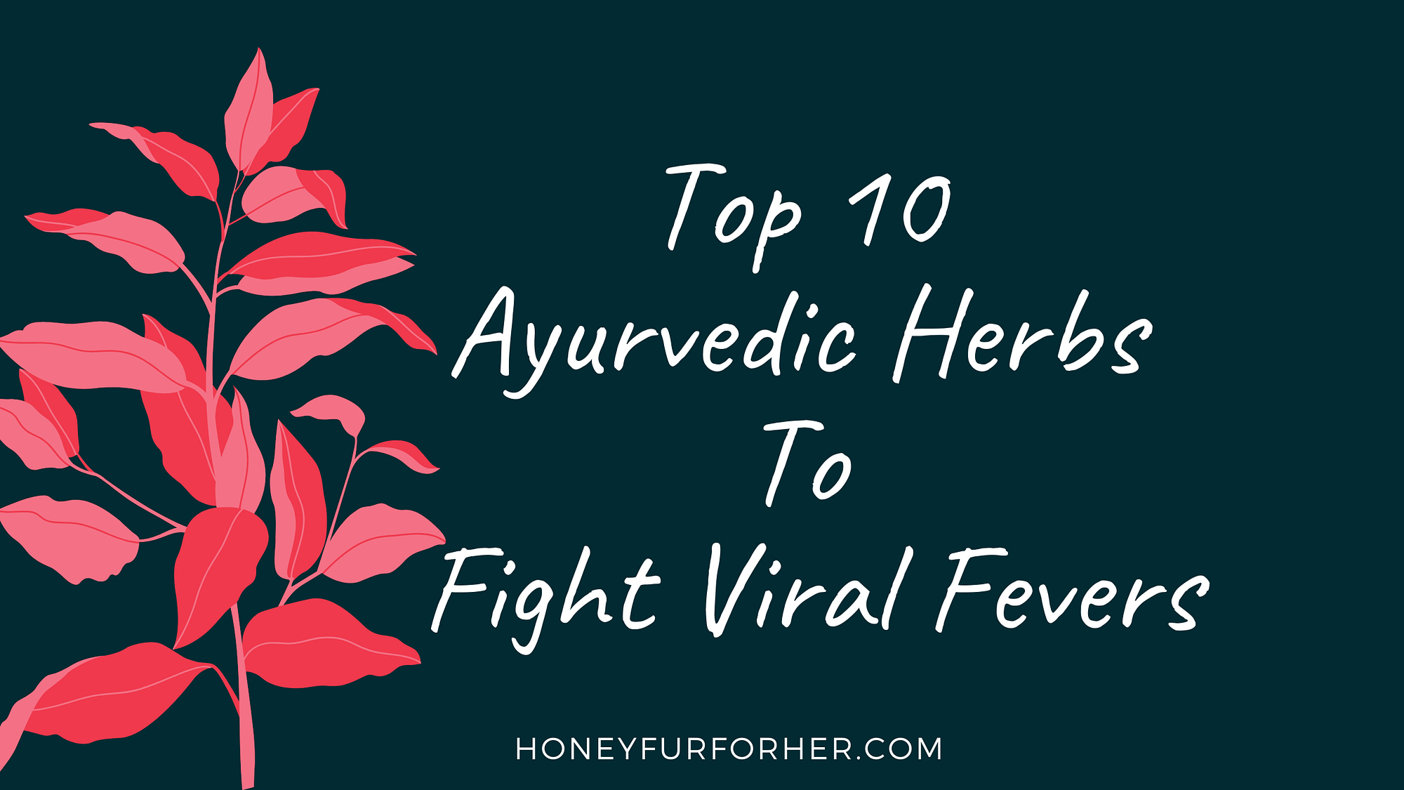 Top 10 Ayurvedic Herbs To fight Viral Fevers Feature Image