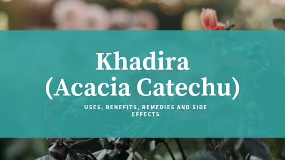 Khadira Benefits Feature Image