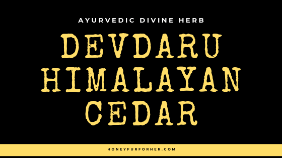 Devdaru Himalayan Cedar Benefits Feature Image