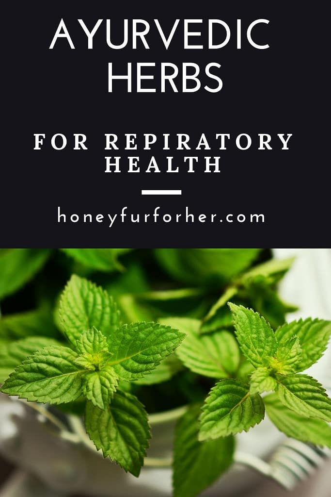 Ayurvedic Herbs For Respiratory Health Pin 2