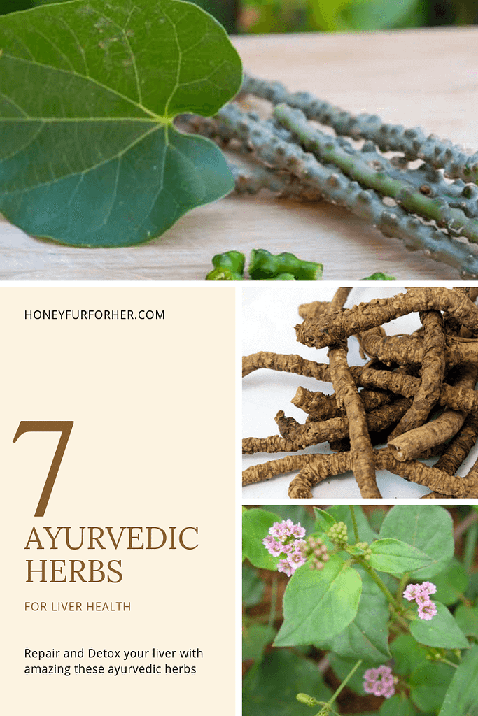Ayurvedic Herbs For Liver Repair For Detox Pinterest Image