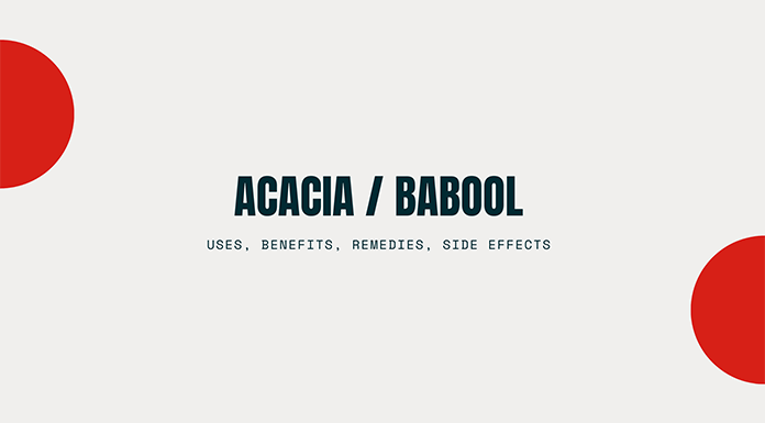 Acacia Babool Uses Benefits Feature Image