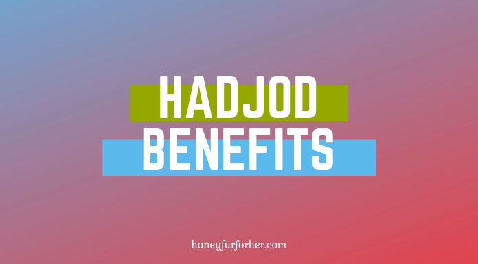 Hadjod Uses Benefits Side Effects Feature Image
