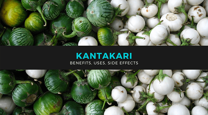 Kantakari Feature Image