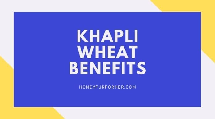 Khapli Rice Benefits Feature Image