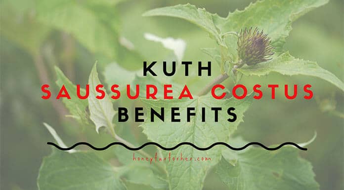 Kuth Benefits Feature Image