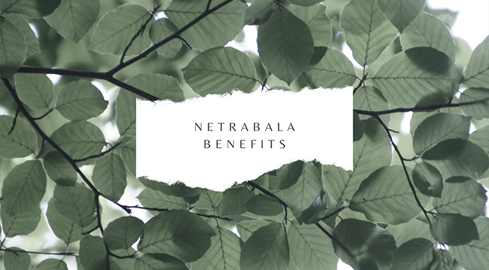 Netrabala Feature Image