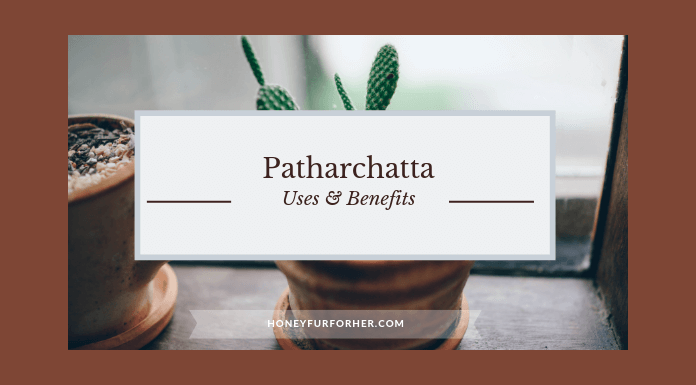 Patharchatta Uses Benefits Side Effects Feature Image