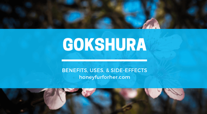 Gokshura Gokuru Benefits Feature Image