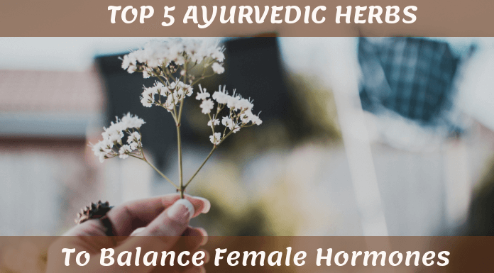 Most Effective Ayurvedic Herbs To Balance Female Hormones