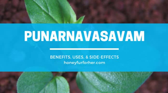 Punarnavasavam Feature Image