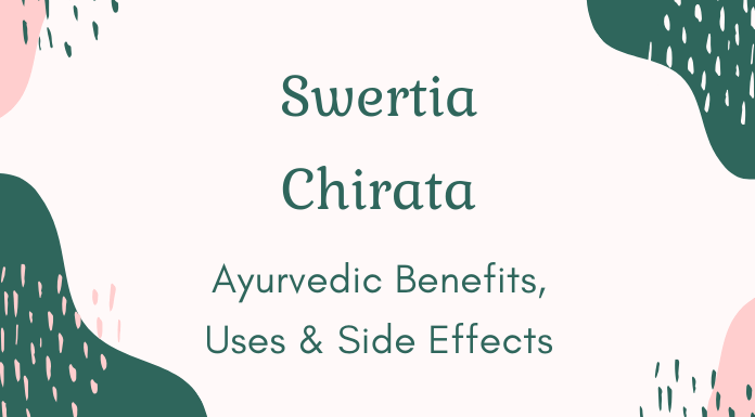 Swertia Chirata Benefits Feature Image