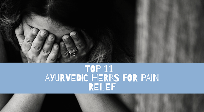 Top 11 Ayurvedic Herbs For Pain Relief