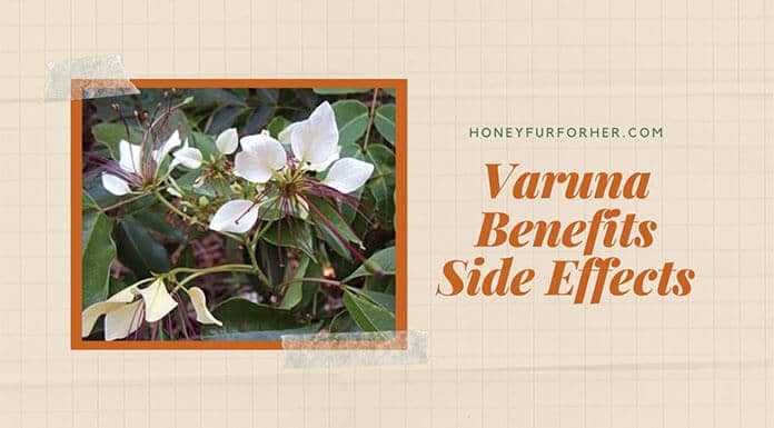 Varuna Benefits Feature Image