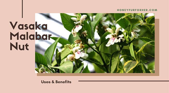 Vasaka Benefits Feature Image