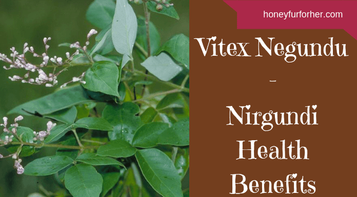 Vitex Negundu - Nirgundi Health Benefits